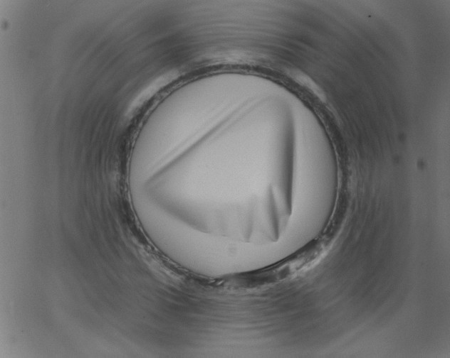 X0000067380922200604281813