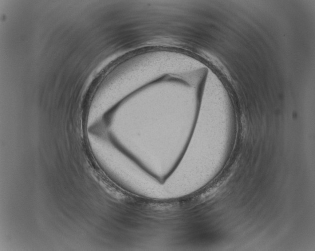 X0000067380931200604281813
