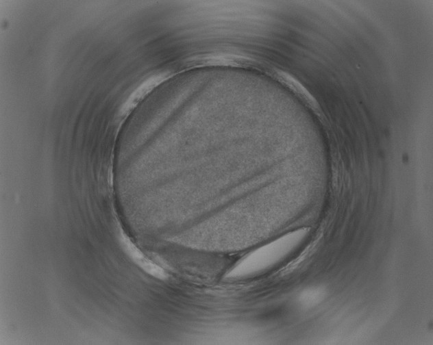 X0000067380938200604281813