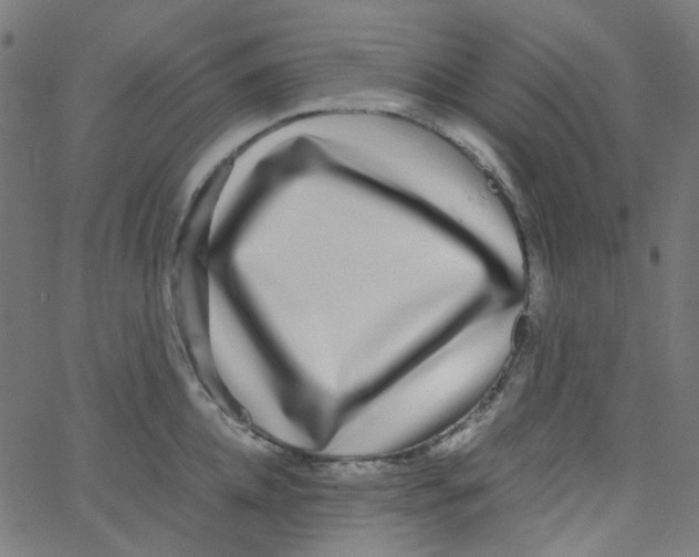 X0000067380952200604281813