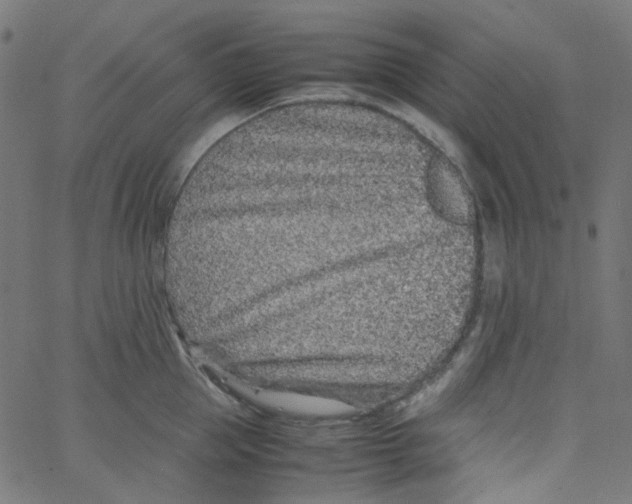 X0000067380953200604281813