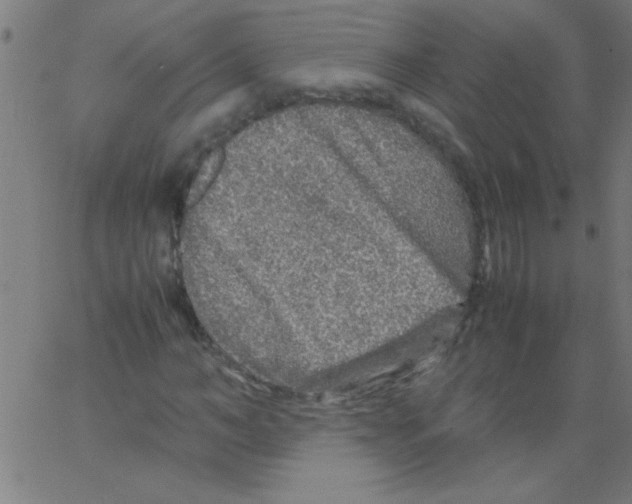 X0000067380966200604281812