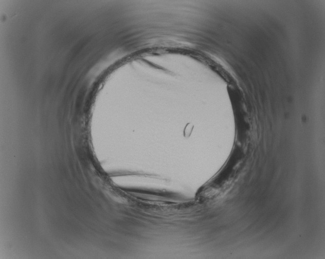 X0000067380971200604281812