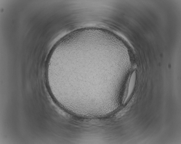 X0000067380991200604281812