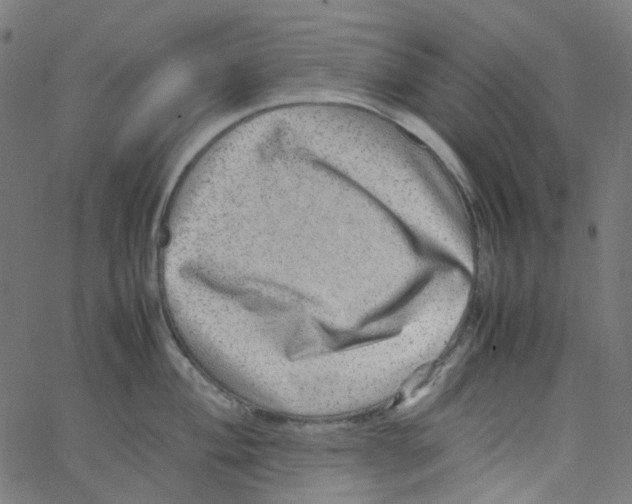 X0000067381004200604281812