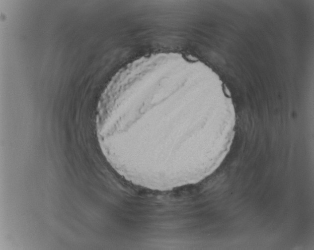 X0000067381009200604281811