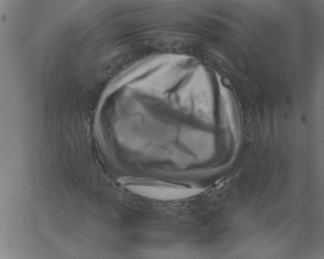 X0000067381013200604281811