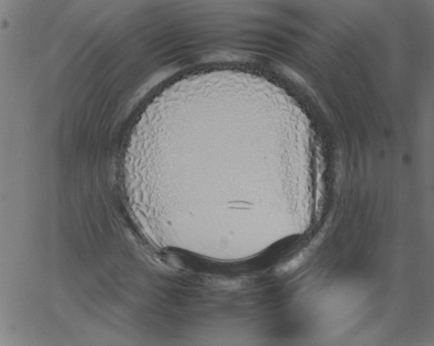 X0000067381017200604281811