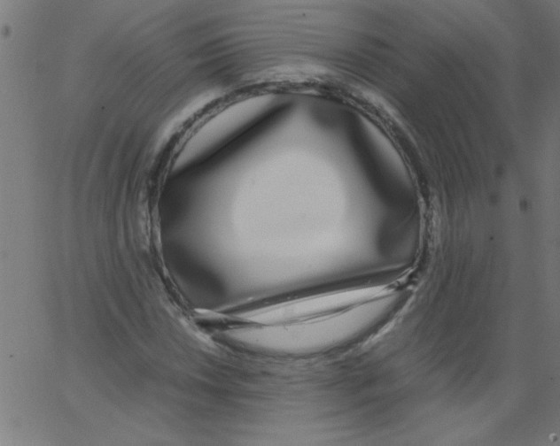X0000067381018200604281811