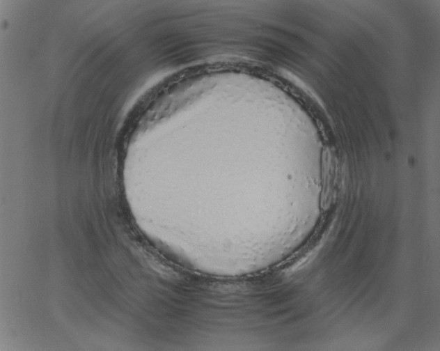 X0000067381021200604281811