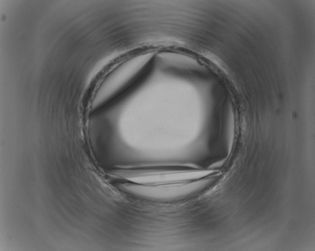 X0000067381022200604281811