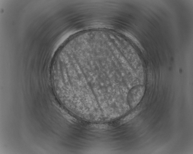 X0000067381023200604281811