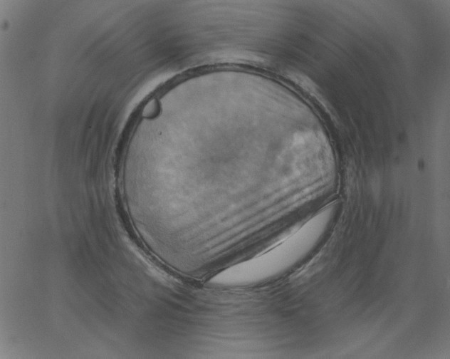 X0000067381024200604281811