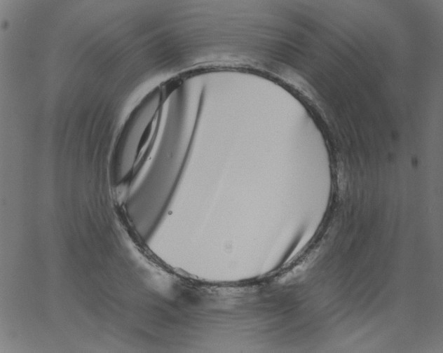 X0000067381030200604281811