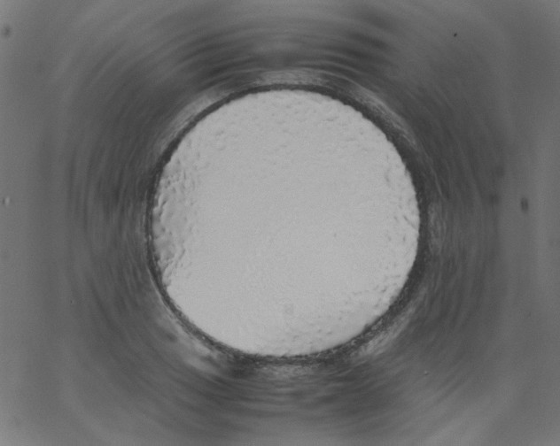 X0000067381033200604281811