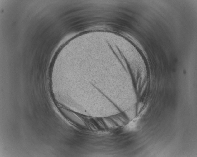 X0000067381045200604281812