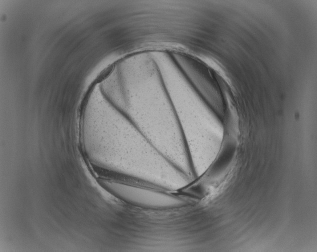X0000067381046200604281812