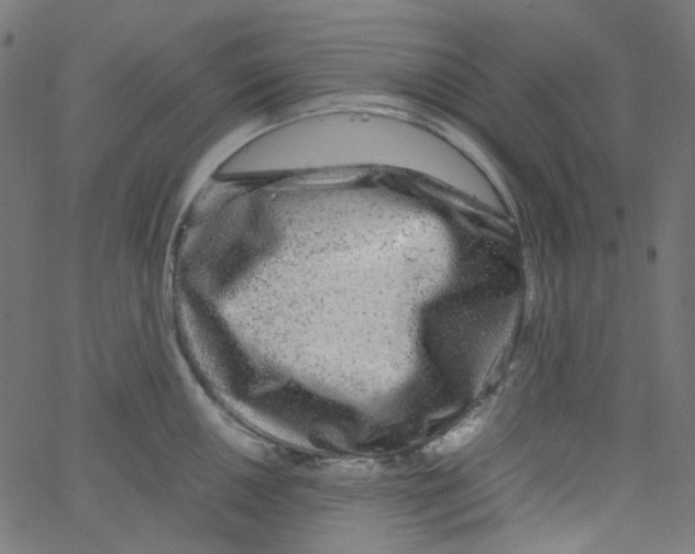 X0000067381050200604281812