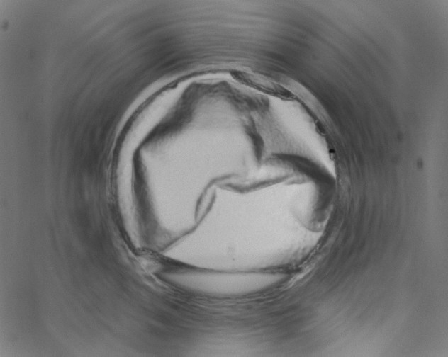 X0000067381052200604281812