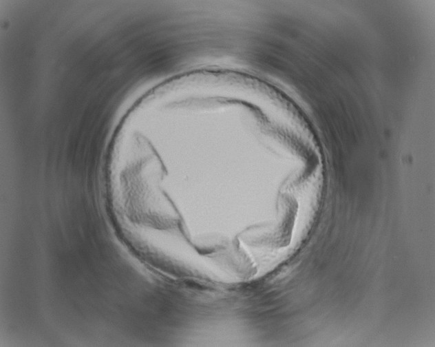 X0000067381056200604281812