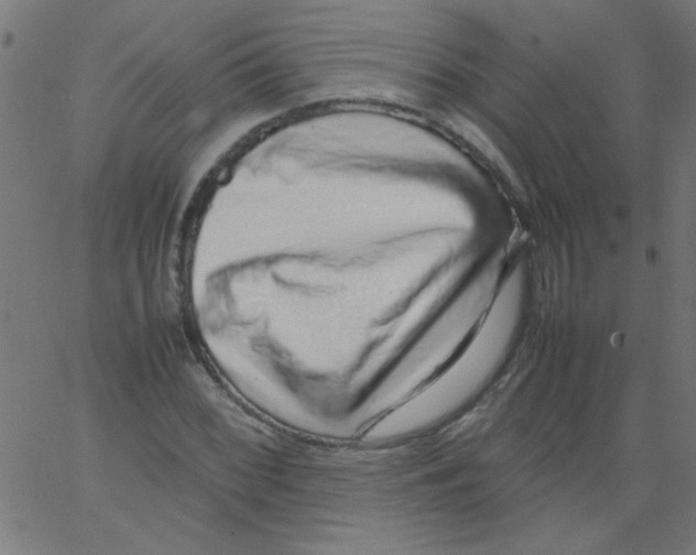 X0000067381068200604281811