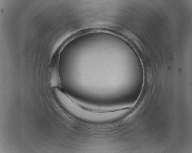 X0000067381069200604281811