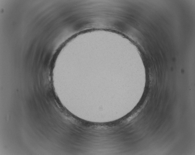 X0000067381070200604281811