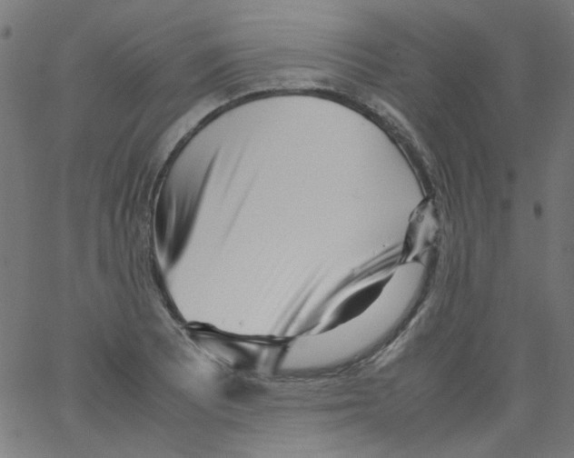 X0000067381081200604281811