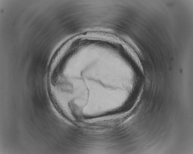 X0000067381100200604281810