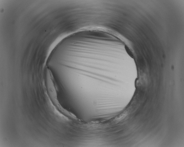X0000067381102200604281810