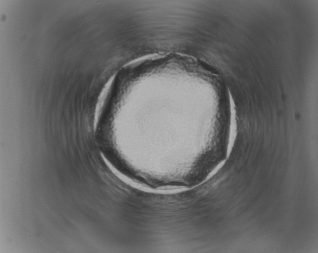 X0000067381106200604281809
