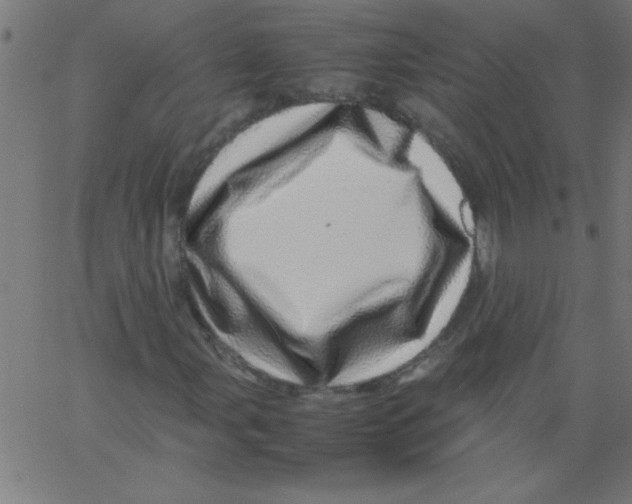 X0000067381107200604281809