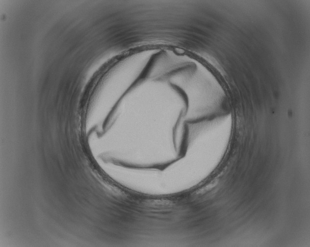 X0000067381119200604281810
