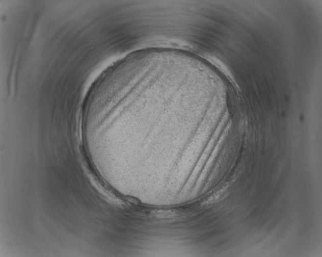 X0000067381128200604281810