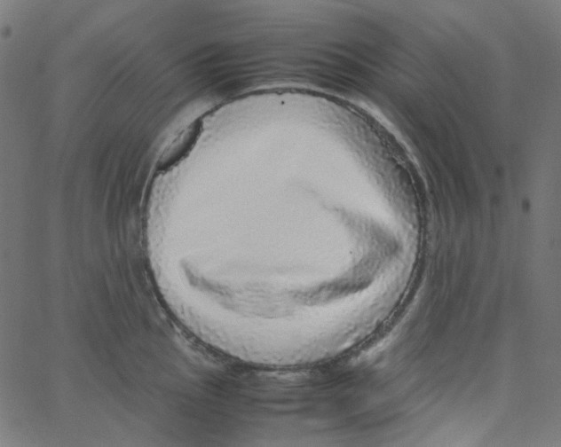 X0000067381145200604281810
