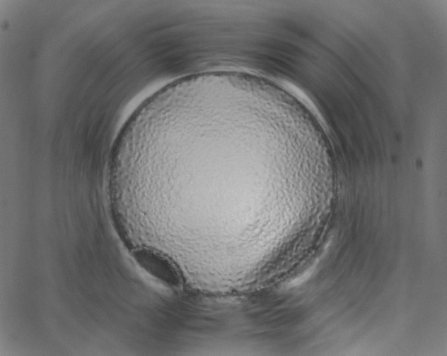 X0000067381149200604281810
