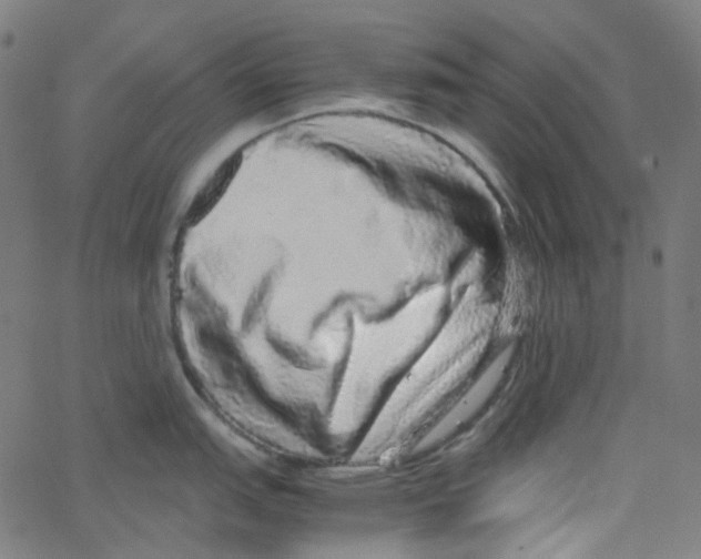 X0000067381151200604281810