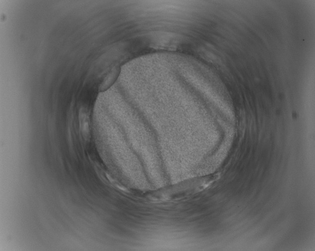 X0000067381154200604281809