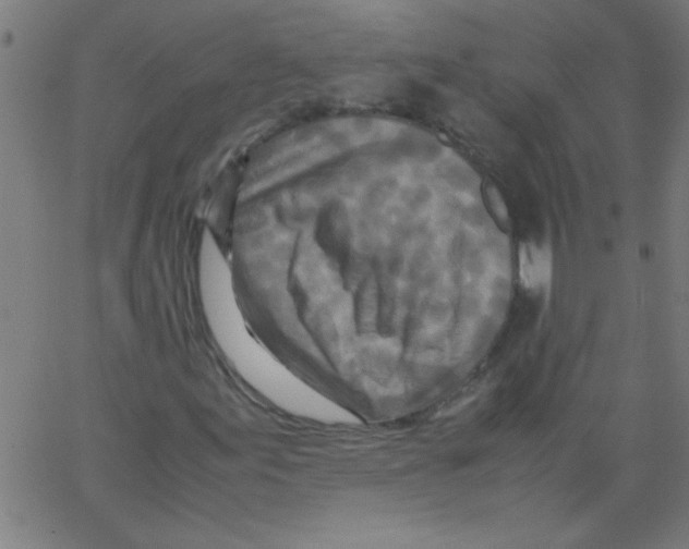 X0000067381155200604281809