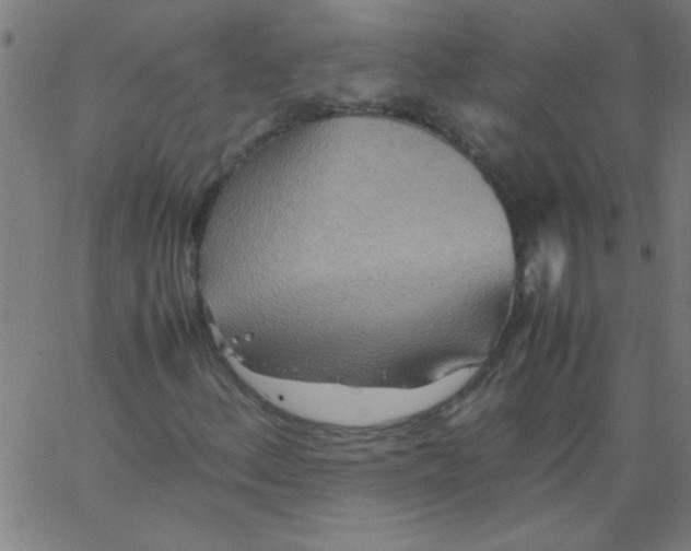 X0000067381156200604281809