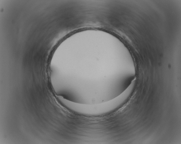 X0000067381168200604281809