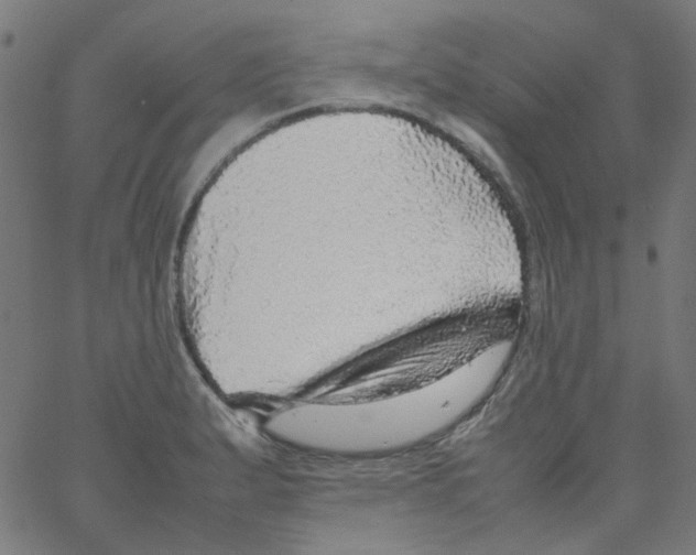X0000067381183200604281809