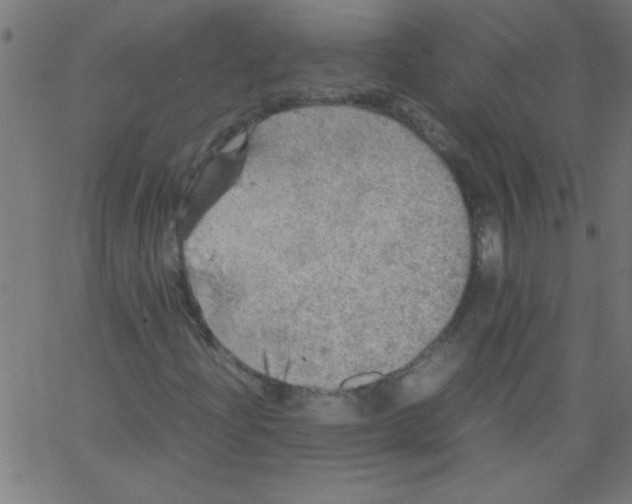 X0000067381204200604281808