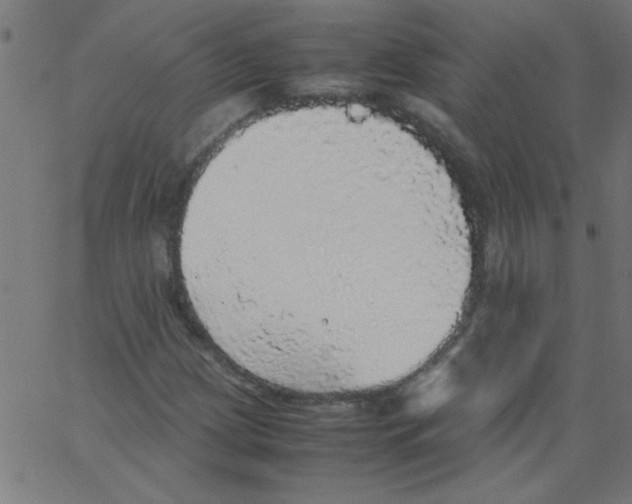 X0000067381209200604281808