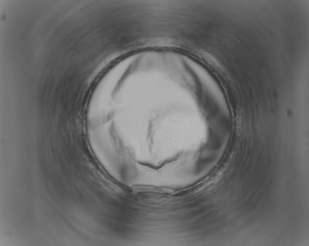 X0000067381212200604281808