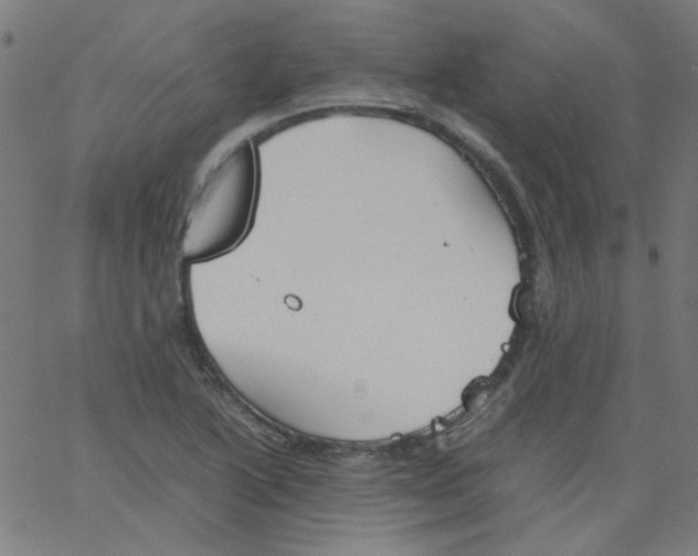 X0000067381222200604281808