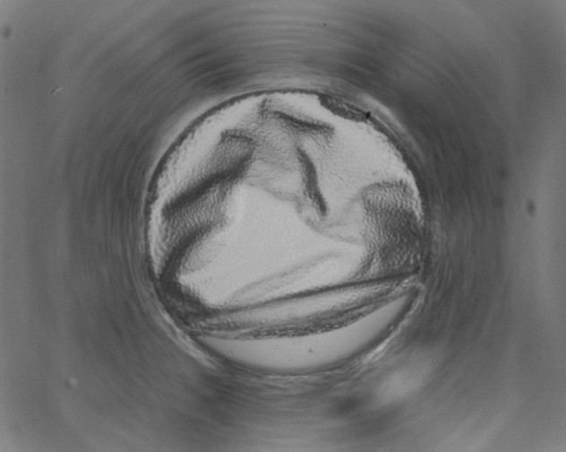 X0000067381236200604281808