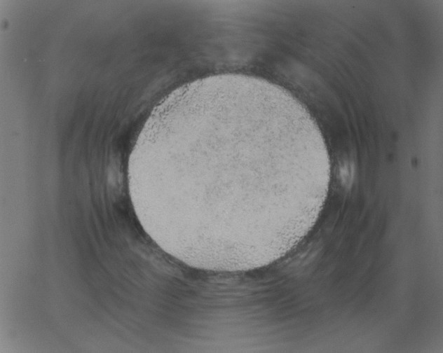 X0000067381252200604281808