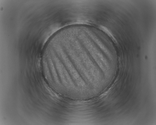 X0000067381260200604281808