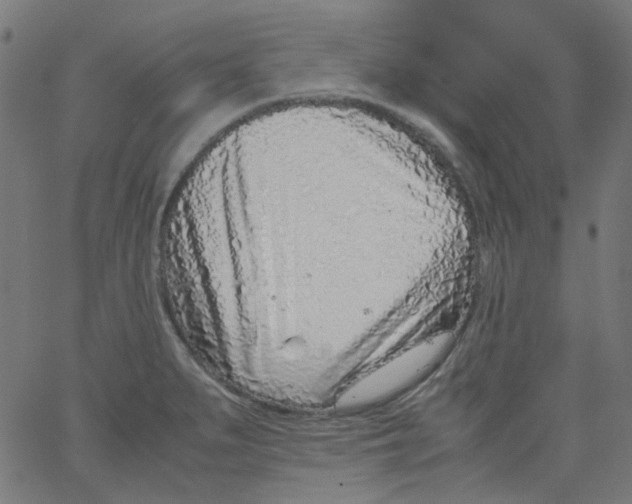 X0000067381279200604281807